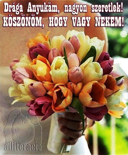 ANYÁK NAPI KÉPESLAP - ANYÁK NAPJA