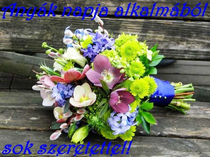 ANYÁK NAPI KÉPESLAP - ANYÁK NAPJA
